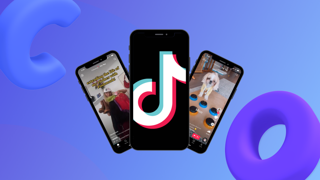 tiktok video downloader
